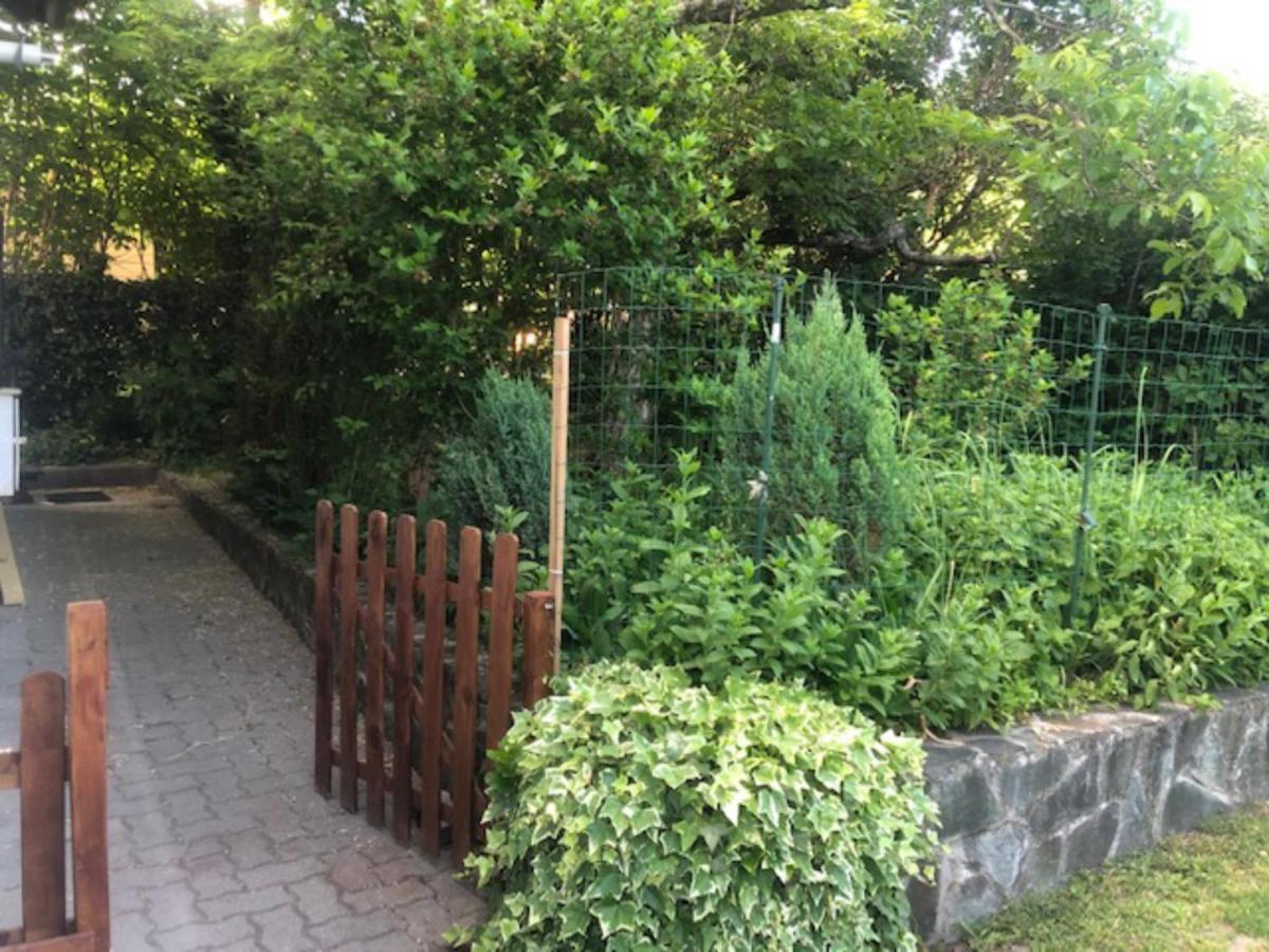Tulipan Haz Villa Szentendre Dış mekan fotoğraf