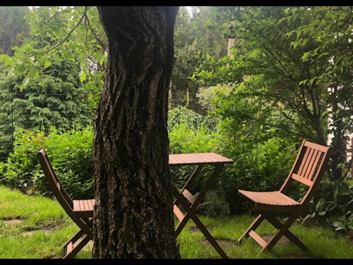 Tulipan Haz Villa Szentendre Dış mekan fotoğraf