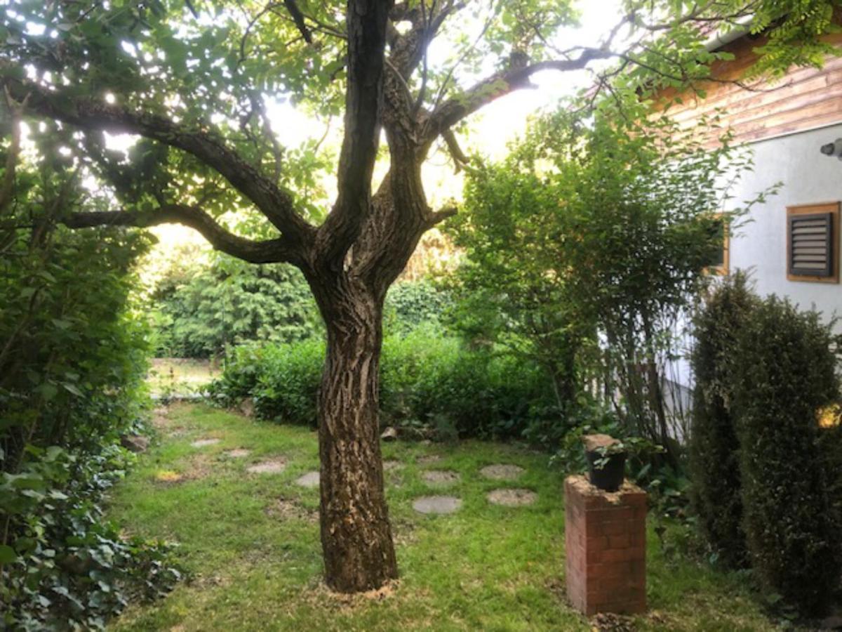 Tulipan Haz Villa Szentendre Dış mekan fotoğraf