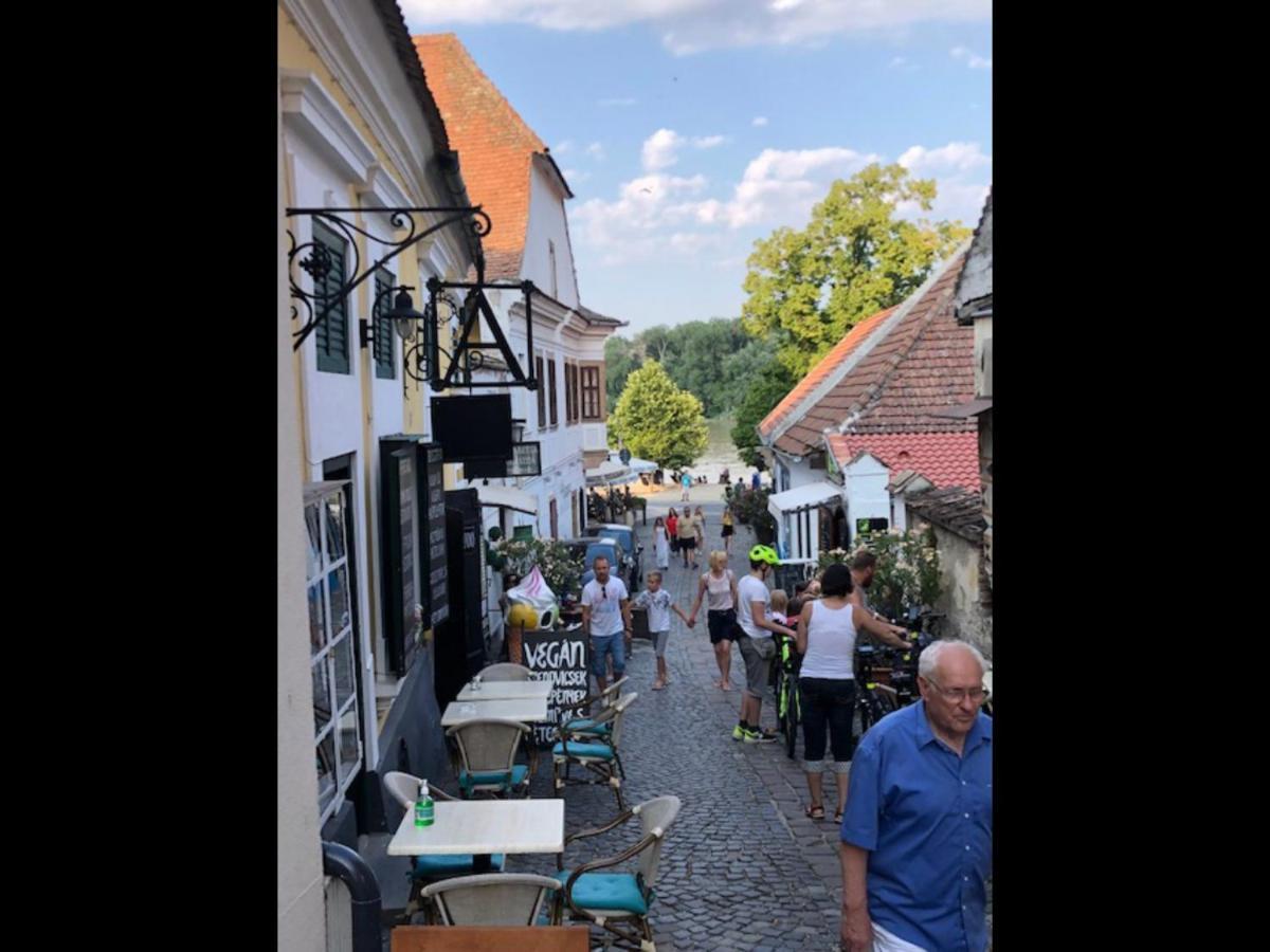 Tulipan Haz Villa Szentendre Dış mekan fotoğraf