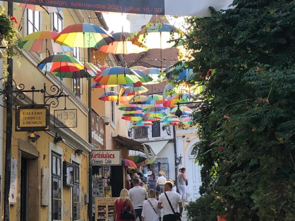 Tulipan Haz Villa Szentendre Dış mekan fotoğraf